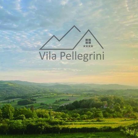 Vila Pellegrini Аранджеловац Екстер'єр фото