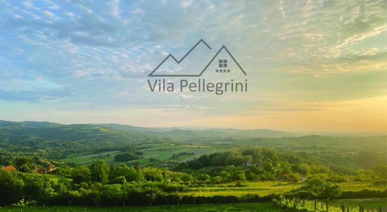 Vila Pellegrini Аранджеловац Екстер'єр фото